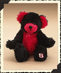 Dale Earnhardt, Jr. #8 Boyds Bear