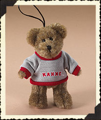 Kasey Kahne #9 Boyds Bear